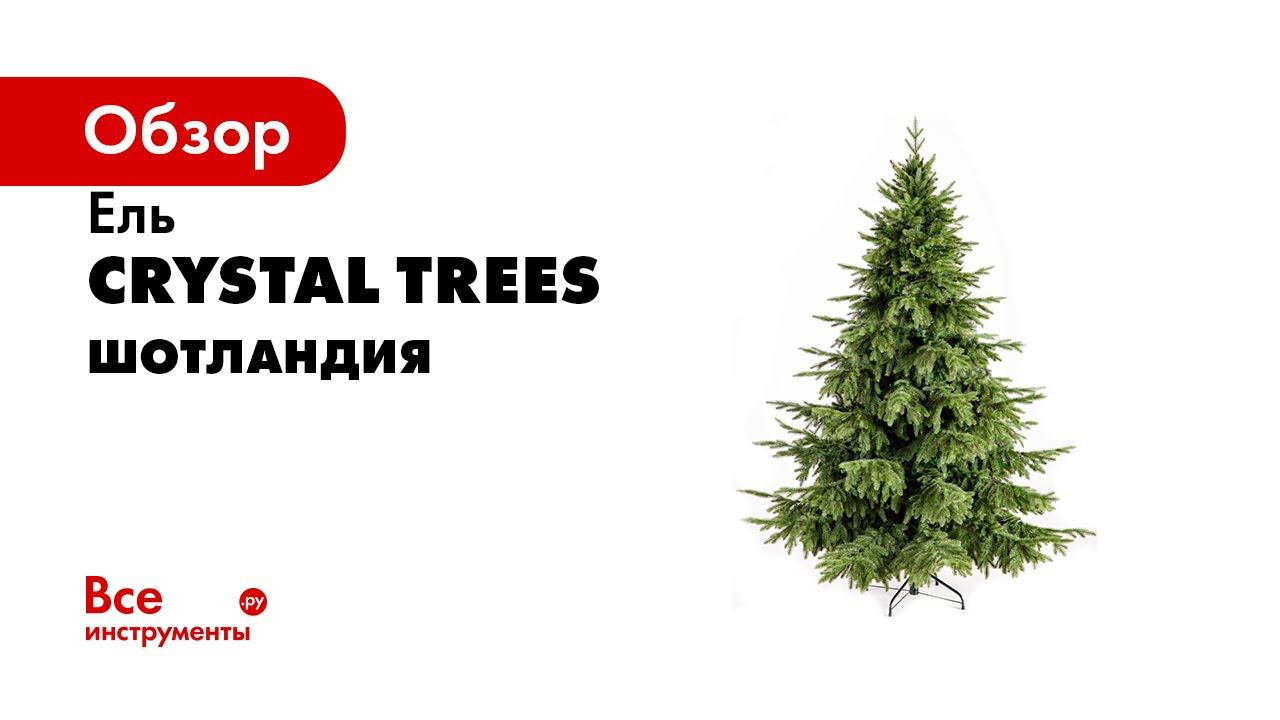 Crystal trees шотландия