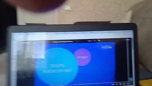 история анонсов зебра в клеточку 2020.н.в