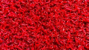 Крупный мотыль - насадочный