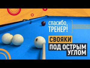 С каким винтом играть свояки? [4]