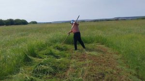 25 июля 2024 г.