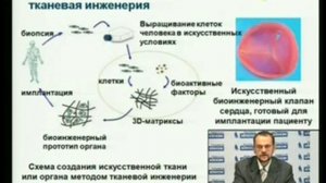 Проект «Нанотехнологии». Тема 4. Ведущий Бонарцев А.П.