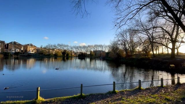 Exploring London's Hampstead Heath with fantastic view of the capital, a relaxing walking route ?? смотреть онлайн