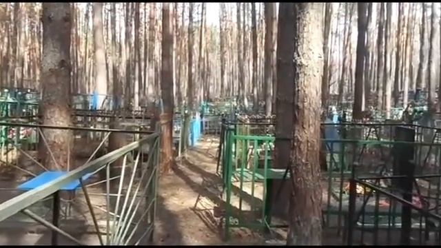 Прогулки по кладбищам №05  Брянск  Володарский р он  Мамоновка старое