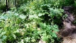 Вело поход с ночёвкой  на Звездный ключ или дызвестный или Тугояковский травертиновый каскад