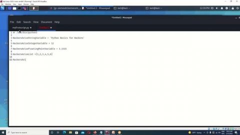 Python Basics for Hackers, Full Course +PDF