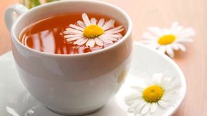 ЦВЕТКИ РОМАШКИ ПОЛЬЗА | ромашковый чай успокаивает? ромашка чай противопоказания, ромашка аптечная