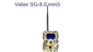 Лучшие фотоловушки - рейтинг 2023 года