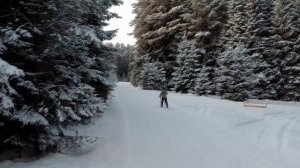 Лыжная прогулка по Сказочному лесу