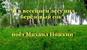 Я в весеннем лесу пил берёзовый сок