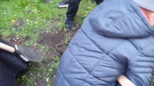 Шуточный обряд "Похороны насекомых"