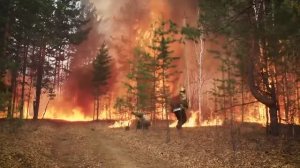 Авиалесоохрана (фильм Лесной спецназ) - фильм про лесных пожарных, лес, лесное хозяйство