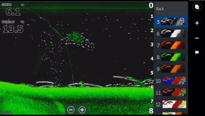 Палитры наложения  DownScan Imaging™на эхолокацию и  FishReveal™. Lowrance Elite Ti .  Часть1.