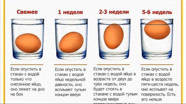 Свежесть яиц можно определить кручением на столе