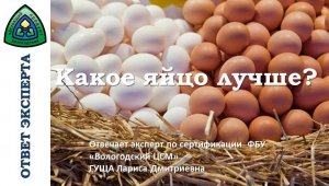 Какое яйцо лучше .mp4