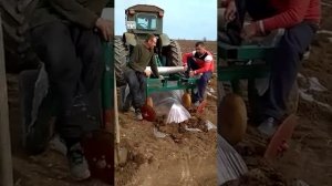 Пленко укладчик на дуги.