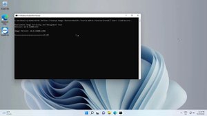 Net Framework 3.5 Error code 0x800F0950 Fix | Windows 11