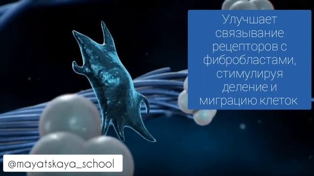 Гиалуроновая кислота как это работает, строение, функции.