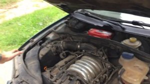 Купил VW passat 2.8 v6 4motion 2000 г.в
