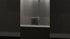 Зуммеры "Призыв Сатаны"