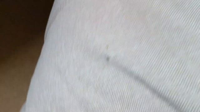 Как избавится от клопов в квартире, если ваши соседи не хотят с ними бороться? смотреть онлайн