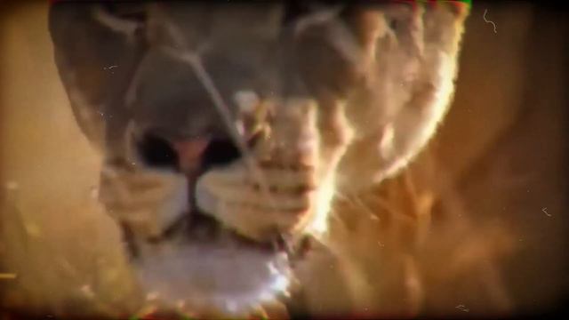 TOP 10 Terrifying Scenes of Deadly Horns Crushing Predators смотреть онлайн