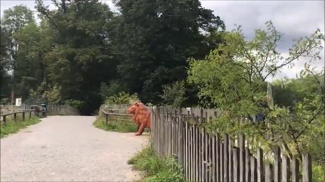 ЗООПАРК ЗАЛЬЦБУРГА!!!!!!!!!!!Эксклюзивное видео!!!!!!!!!!!!!!!!!! смотреть онлайн