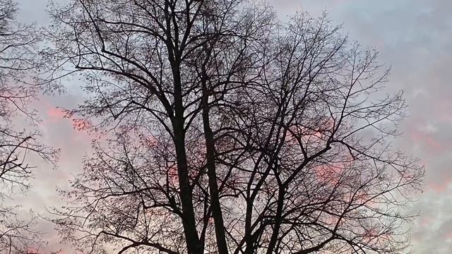 Стих: Не спит, Хранящий тебя смотреть онлайн