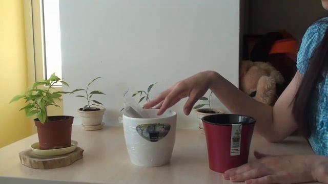 Цветочные горшки с автополивом. Горшки с двойным дном