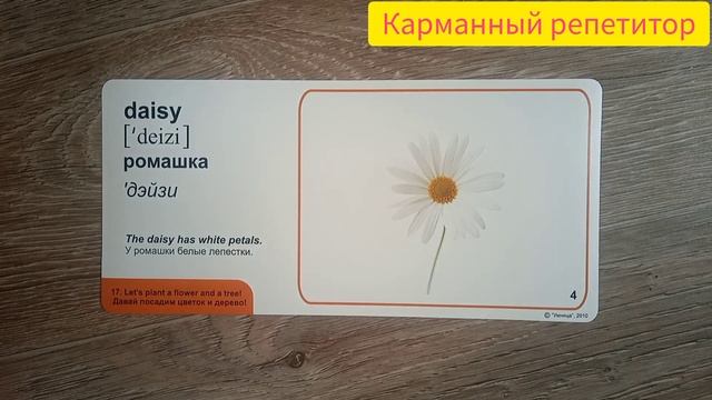 Уроки английского для малышей. Слова на тему "Растения. Цветы". Английский с пеленок.