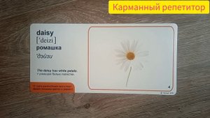 Уроки английского для малышей. Слова на тему "Растения. Цветы". Английский с пеленок.