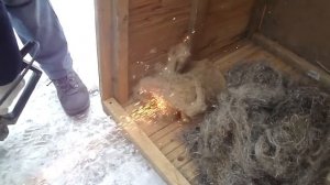 Проверка горения джута и пакли