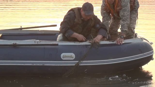 Всероссийская акция " День без сетей" смотреть онлайн