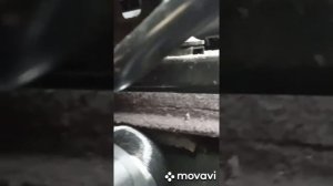 Установка Автономной печки на Шаран.