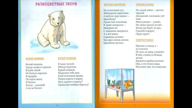 ЗАГАДОЧНЫЕ стихи от веселого автор Борисов Владимир Медиаанонс книг 0+ смотреть онлайн