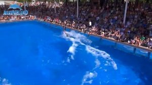 Marineland - Costa den Blanes - Mallorca