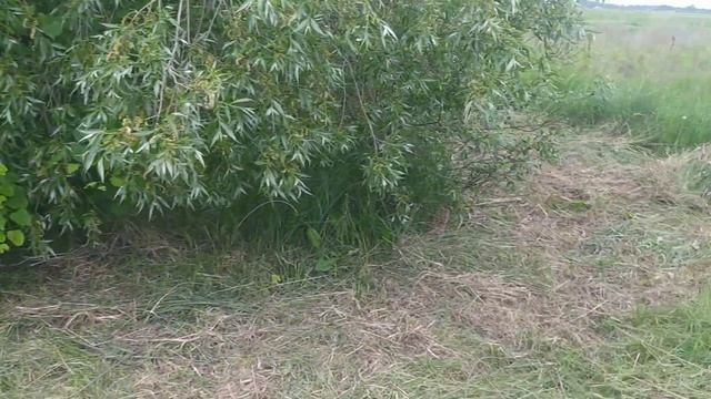 ? Фундамент из булыжников простоял 30 лет. Можно ли строить на нем дом?