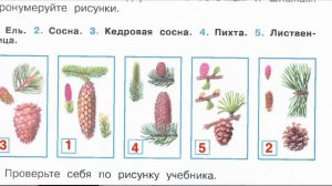 Страница 41 Рабочая тетрадь по окружающему миру за 4 класс 1 часть Плешаков Школа России