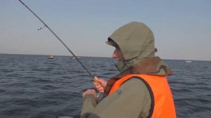 Новый питерский тренд -- ловля корюшки с лодки.