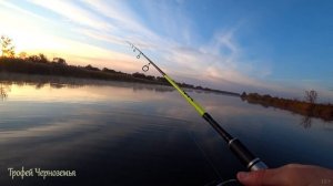 ОГРОМНЫЙ ОКУНЬ. Лучшая рыбалка сезона 2020(часть 1). Ловля щуки в октябре