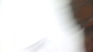 обзор рисунков король лев 1 часть