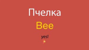 Пчелка по-английски