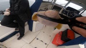 Морская рыбалка на камбалу.