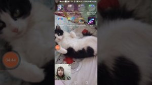 Как очистить память на Android|Honor 7A/надеюсь помогла??