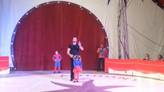Cirque Anthony à Salon de Provence. смотреть онлайн