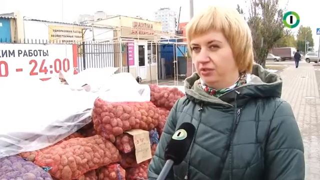 Картофельная нематода