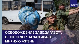 Освобождение завода "Азот". В ЛНР и ДНР налаживают мирную жизнь