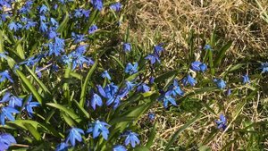 Какая погода в Норвегии? Поговорим о погоде..