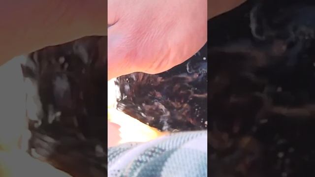 Рецепт языка в афганском казане и на гриле! Закуска на новый год смотреть онлайн