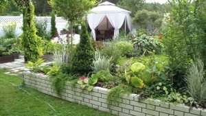 Декоративные злаки в моем саду! Ландшафтный дизайн участка своими руками!